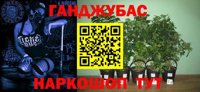 спайс Аргун
