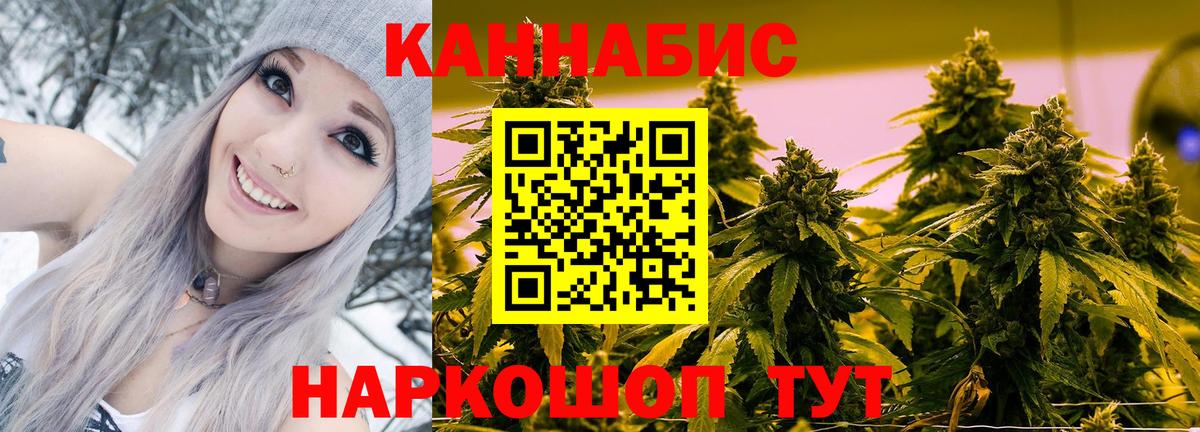 Каннабис OG Kush Вязники